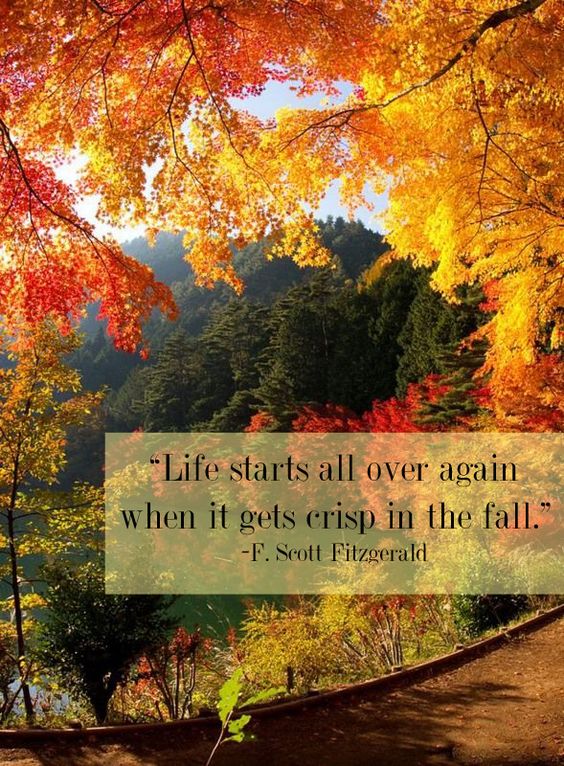 life-fall